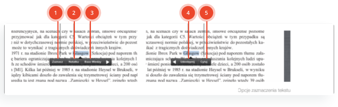 Zaawansowana praca z tekstem obraz 1